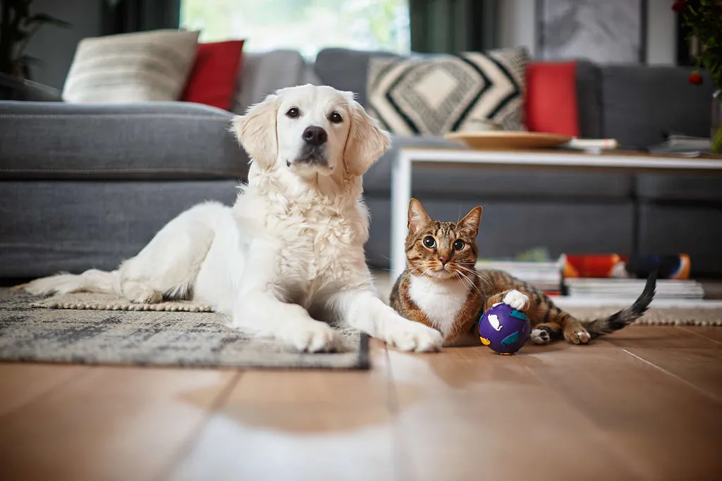 Philips Performer Silent Beutel Staubsauger, Allergiefilter, 99.9 % Staubaufnahme, 750 W, Rot (FC8784/09) – Bild 4